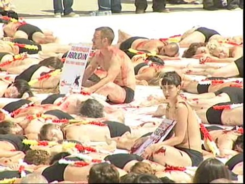 Solidarios con los toros