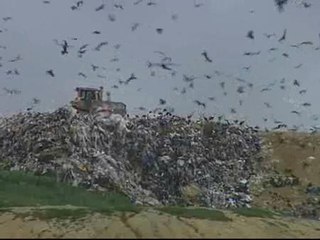 La búsqueda en el vertedero costó 150.000 euros