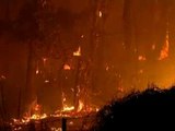 Incendios en Australia: lo peor no ha pasado