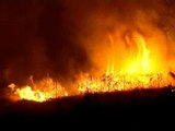 Al menos 128 muertos en los incendios de Australia