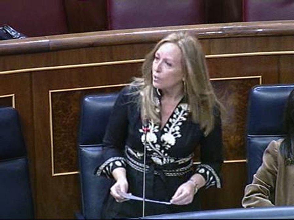 Trinidad Jiménez se estrena como ministra en el Congreso