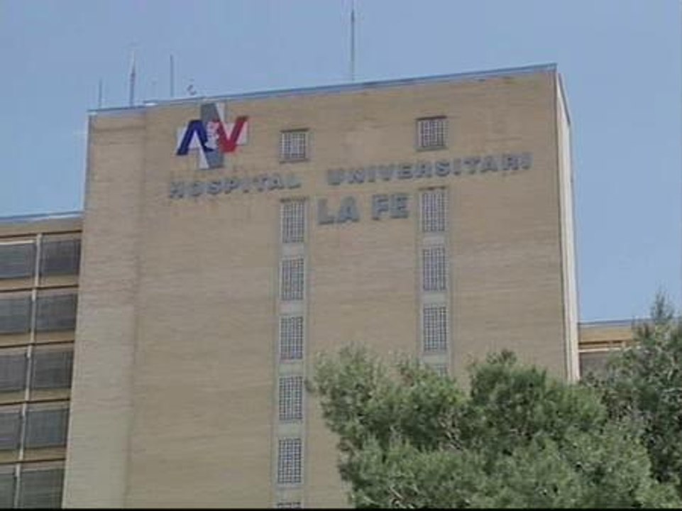 Ya son dos los casos confirmados de gripe porcina en España