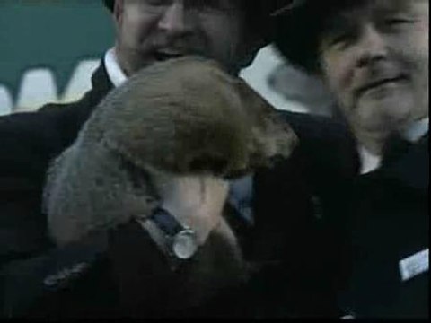 La marmota Phil anuncia 6 semanas más de invierno