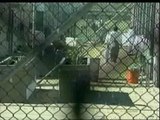 La UE dará asilo a 60 presos de Guantánamo