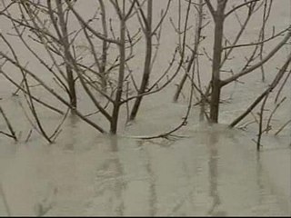 Download Video: La crecida del Ebro continúa su camino hacia el Delta