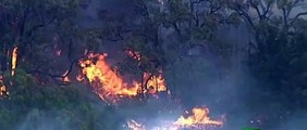 Güneydoğu Avustralya’daki orman yangınları nedeniyle acil durum ilan edildi