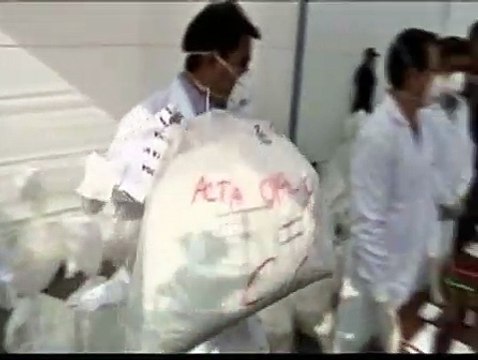 12 toneladas de cocaína incineradas