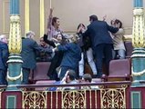 Activistas pro-Sáhara protagonizan una revuelta en el Congreso