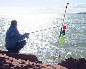 Prohíben el &#039;botellón&#039; en la playa de la Pobla