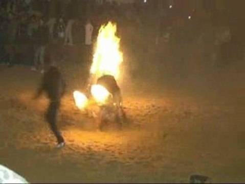 Los antitaurinos denuncian el toro de fuego de Medinaceli