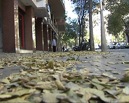 Barcelona en alerta por fuertes vientos