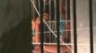 Un motín en una cárcel Brasil acaba con 18 presos muertos