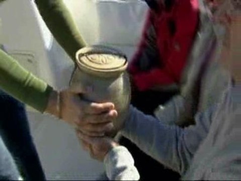 Cenizas fúnebres al mar