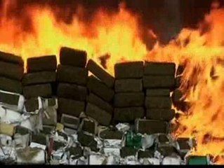 Download Video: Incineradas 134 toneladas de marihuana en México