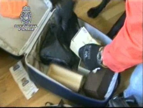 La policía detiene en España a 41 personas relacionadas con las FARC