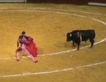 Una iniciativa para prohibir los toros en Andalucía