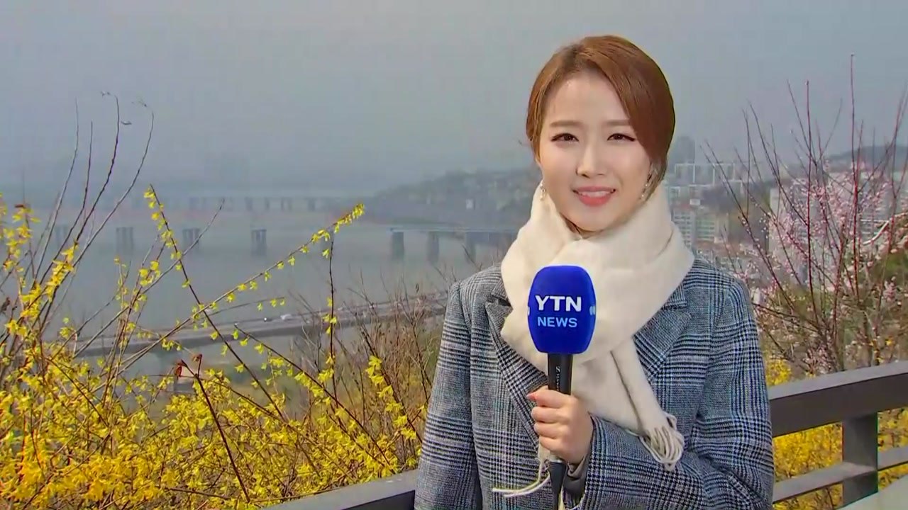 [날씨] 구름 많고 쌀쌀한 휴일...응봉산 개나리 만발 / YTN