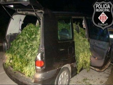 Cuatro jóvenes detenidos cuando transportaban marihuana en un vehículo