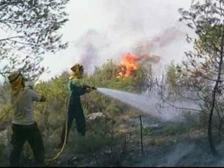 Controlado el incendio de Olivella, en Barcelona