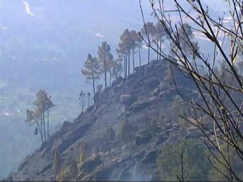 Alerta en los alrededores de Orense por un incendio que sigue activo
