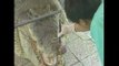 Un veterinario taiwanés opera a un cocodrilo de un tumor en el labio