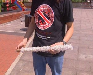 La lucha contra los toros empieza en la calle