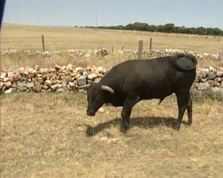 Pro y anti taurinos, enfrentados