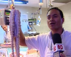 Crece la venta de pulpo gracias &#039;Paul&#039;