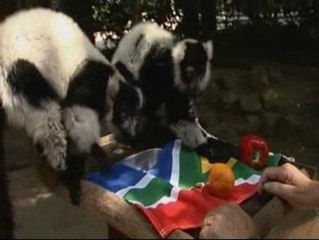 Los oráculos de Holanda