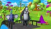 Jeu de Bowling Jouer par le Zoo et les Animaux de la Grange à Childrens Parc d'attraction avec de Drôles d'Animaux de la Forêt | Peony Noakes