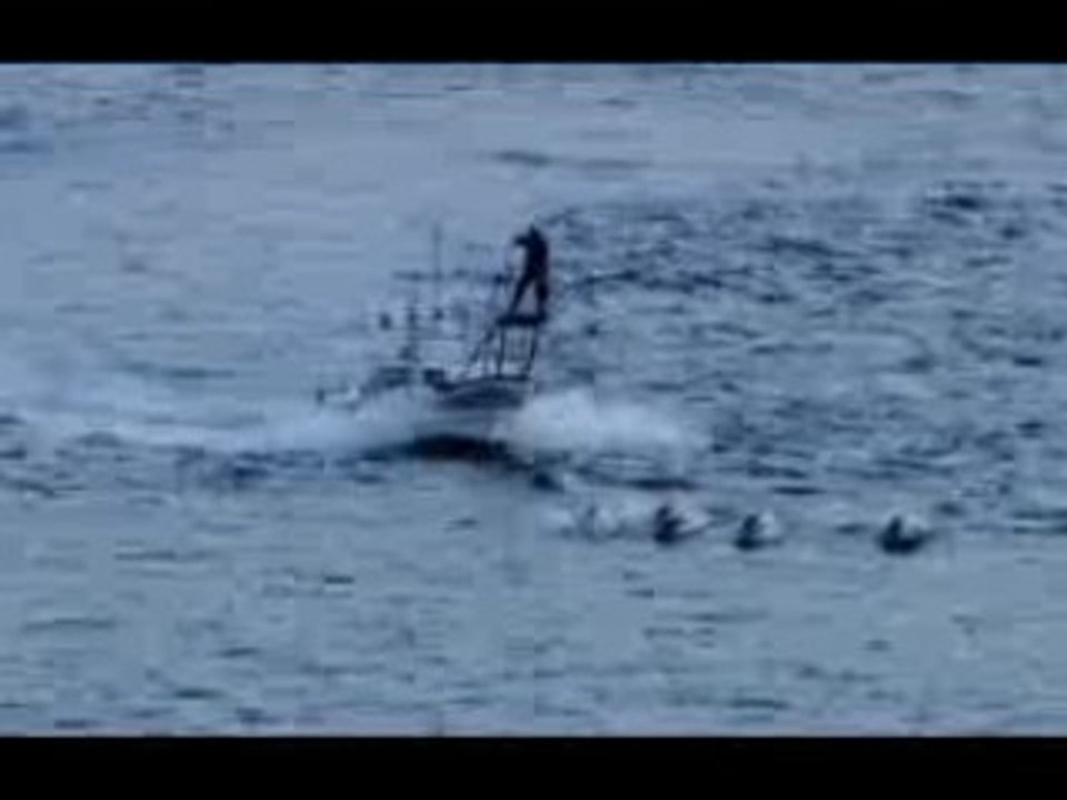 'The Cove', trailer