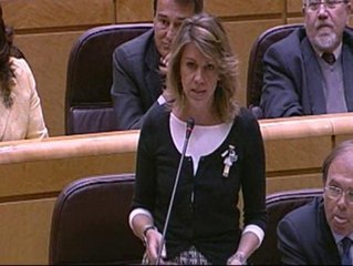 El PP defiende la reforma de la Ley del Menor en el Senado
