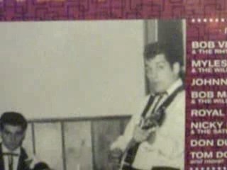 bob vidone and the rhythm rockers......