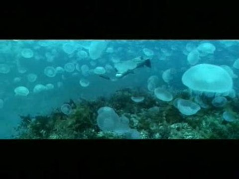 Disney estrenará 'Océanos', un espectacular viaje bajo el mar