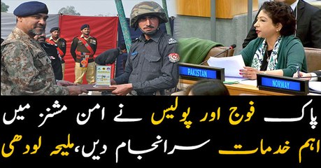 Pakistan stresses to ensure personnel' safety in UN peacekeeping missions