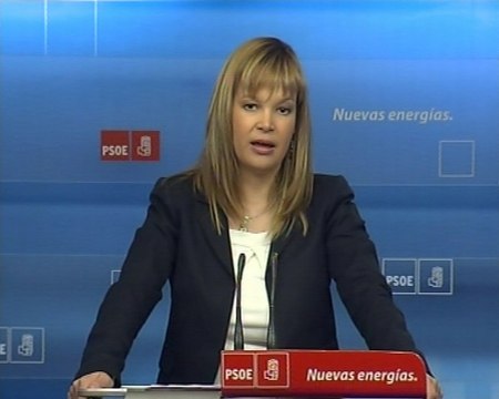 Pajín pide esfuerzos para salir de la crisis