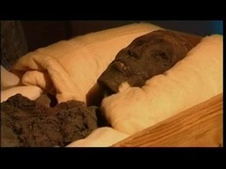 La malaria mató a Tutankamón