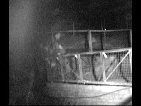 Roban cuatro ciervos en una granja escuela de Montornés del Vallés