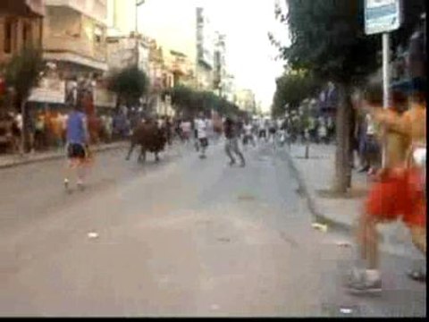 El parlamento catalán quiere proteger los encierros taurinos