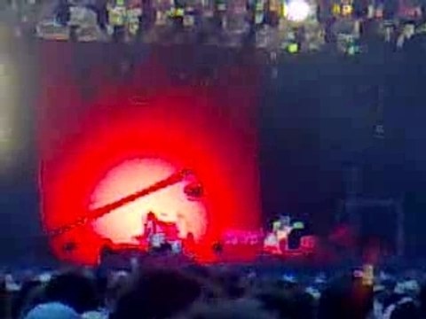 The White Stripes - Dead Leaves And