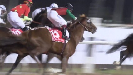 '돌콩', 기적의 성과 이룬 두바이월드컵 11위 마감 / YTN