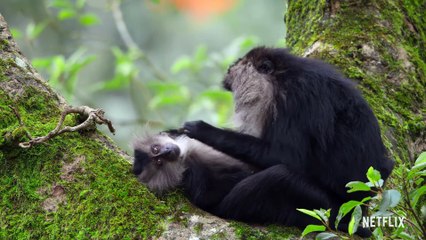 Our Planet - Zing Vecht Huil bid - Maaike Ouboter