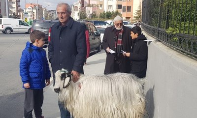 Oy vermeye 'prenses' ile geldi