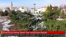 Sivas'ta Oy Verme İşlemi 'Kar' Sürpriziyle Başladı