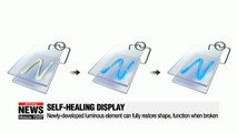 Korean researchers develop self-healing display material