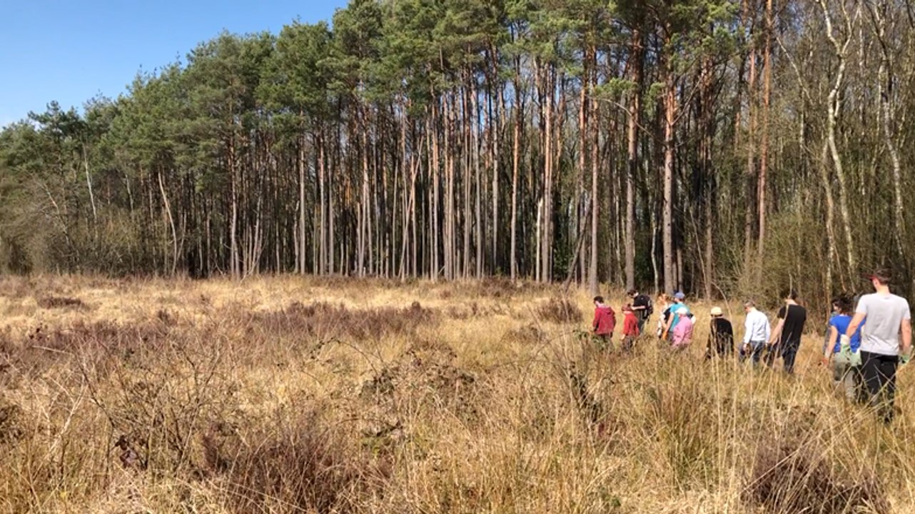 Chantier participatif de restauration d’une tourbière au Marais du Fourneau