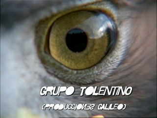 un calvario o una procesion