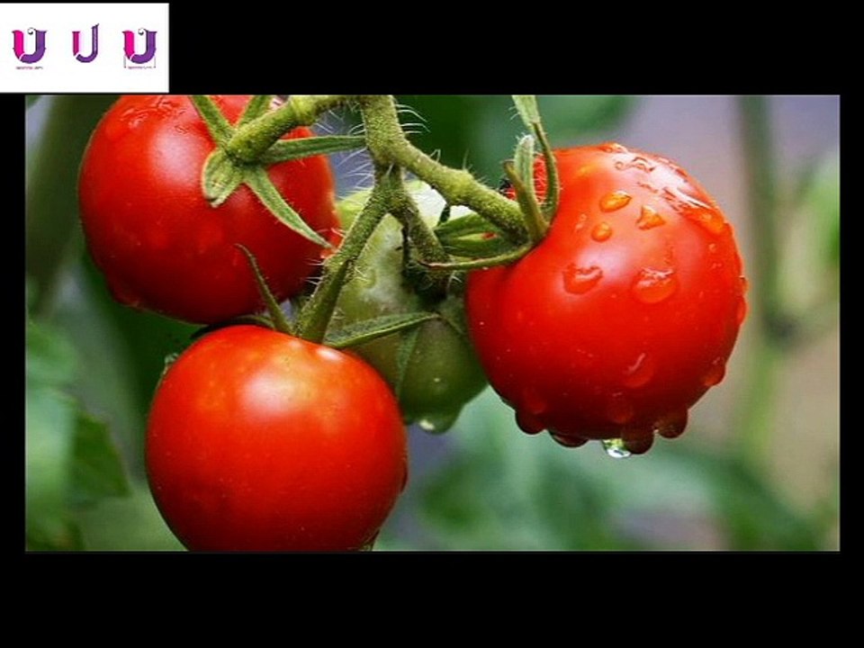 Remove Under Eye Dark Circles Bangla Video  /Get Rid Of Dark Circles - Ispontha & Isprishika