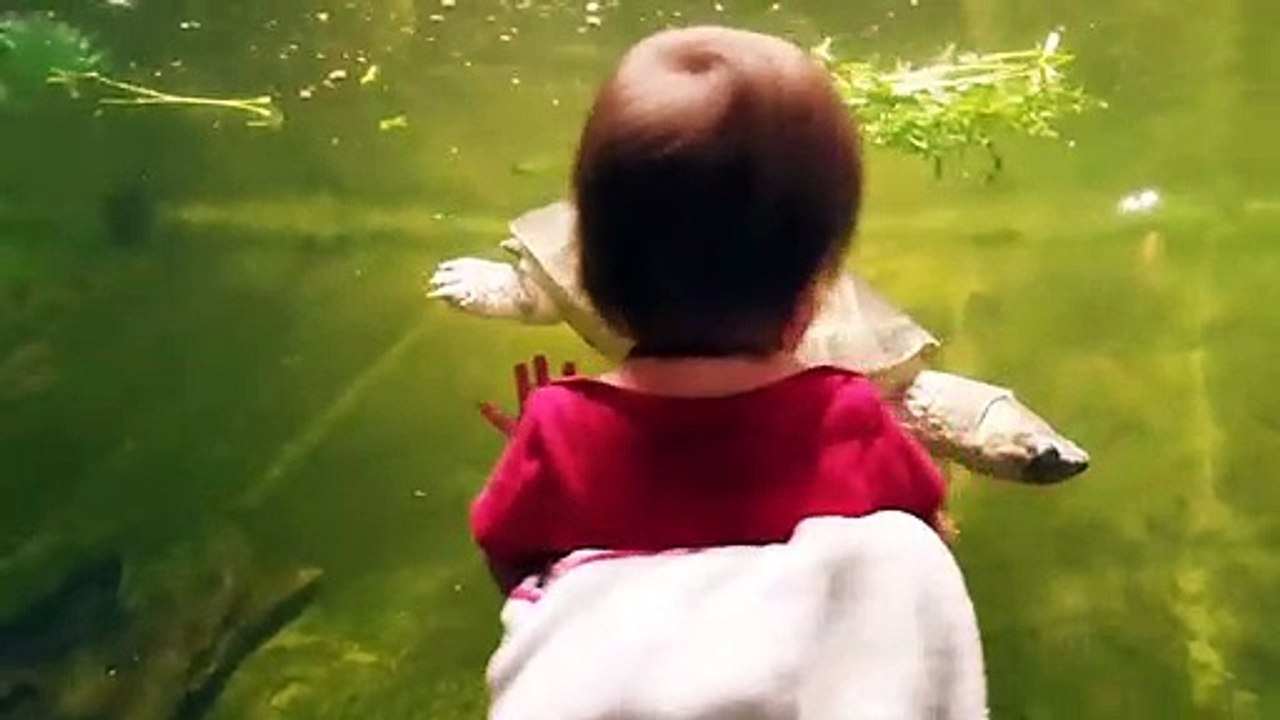 Funny Baby and Kid at the Aquarium First Time - Funny Fails Baby Video