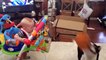 Funny Baby and Dog Playing Together - Fun and Fails Baby Video